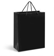 GIFTBAG-1005-BL_260_250.jpg